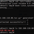 linux系统巡检脚本