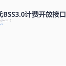 BSS3.0建设项目