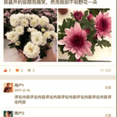 公众号:美乐棵社区、PINKFOX瑜伽空间、PINKFOX教练中心