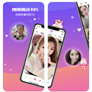 笨猪386
