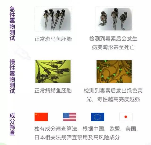 bfe2ebd4bcd194cb79446a030e7a33db.webp