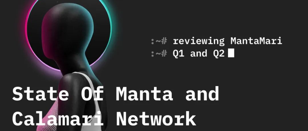 Manta Network 2022上半年度项目报告