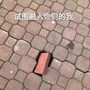 投票