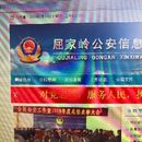 屈家岭公安信息网
