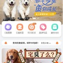 E宠商场