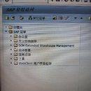 医药物流EWM项目