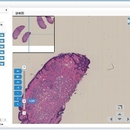 数字病理远程诊断系统
