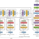 A Hierarchical Structured Multi-head Attention Net