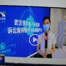 武汉市中级人民法院新诉服中心指导中心信息平台