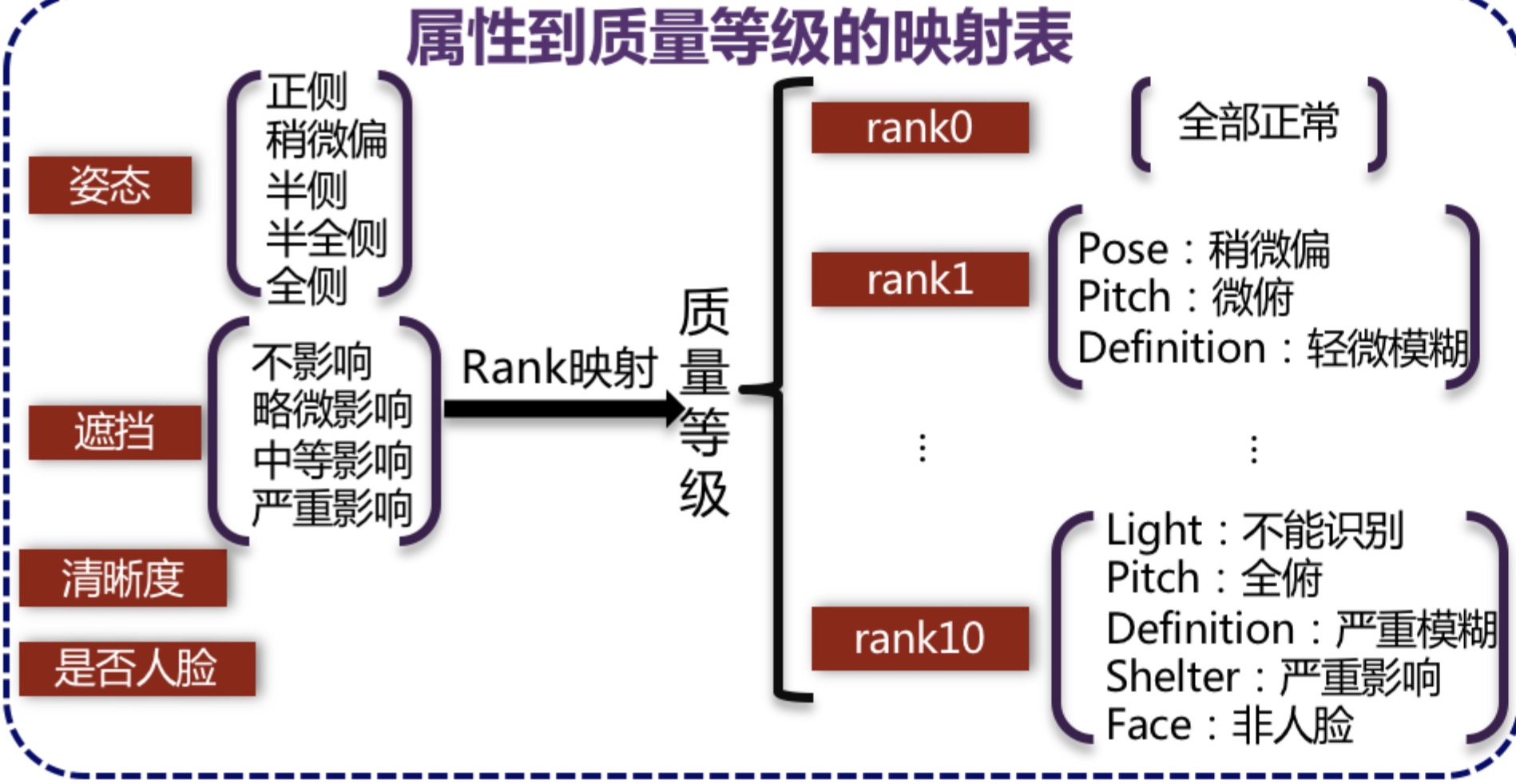 模型结构