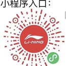 李宁项目