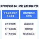 汇款、汇款流程领域项目
