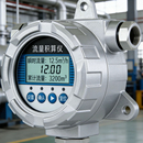 流量积算仪