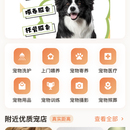星宠社小程序