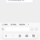 im客服系统