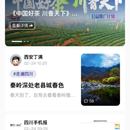 新闻小程序APP