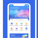 政务类app