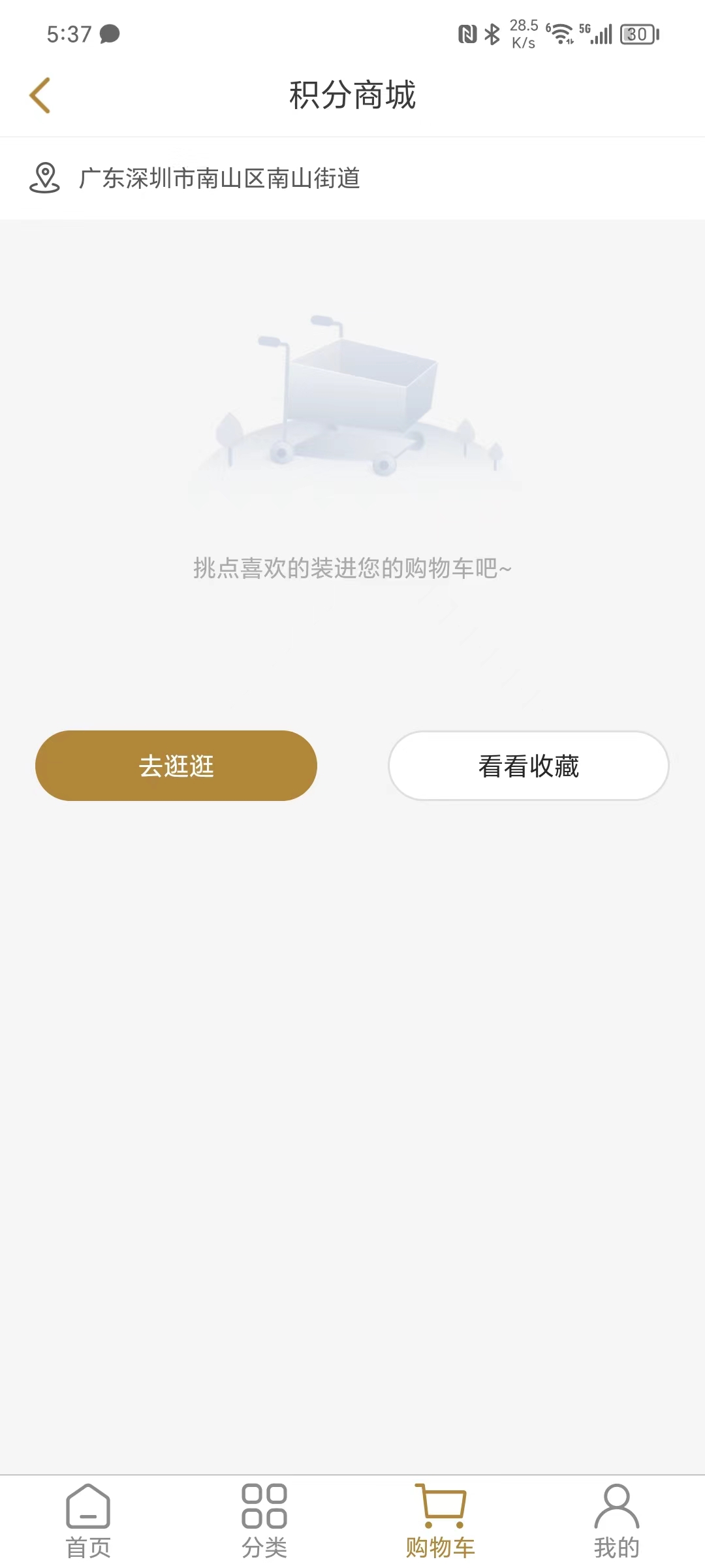 动态图片