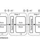 多模态心脏疾病辅助诊断