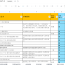 SAP项目实施开发