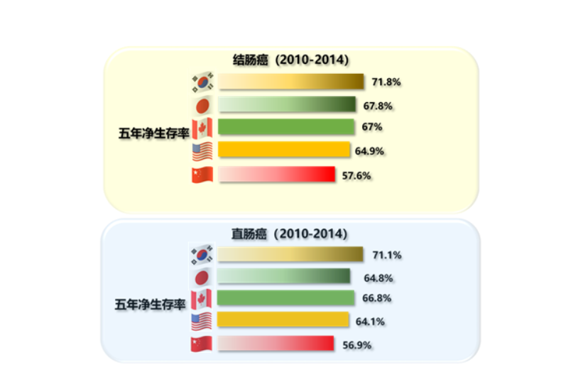 动态图片