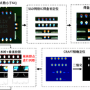 基于深度学习的PCB元件缺陷检测