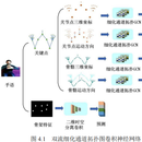 基于图卷积神经网络的手语识别算法  