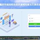 重庆市规划和自然资源档案管理系统
