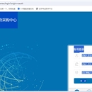 中央政府采购网