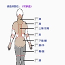 工效学数据采集分析处理系统