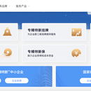 国融工发专精特新综合服务平台