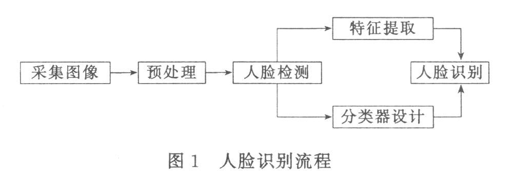 动态图片