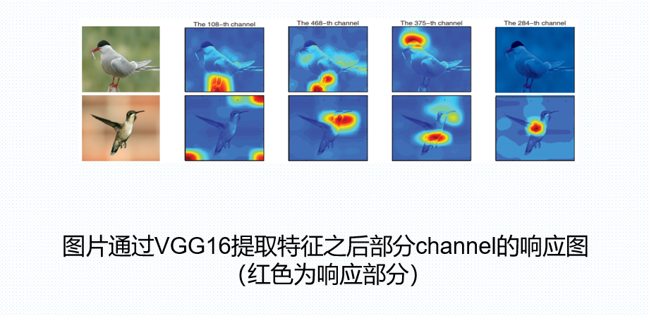 链接图片