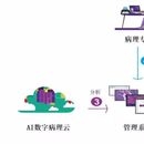 AI辅助诊断系统