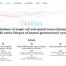 Guatlas