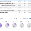 项目管理定制化软件开发