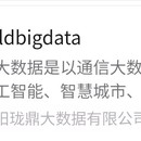 珑鼎ldbigdata