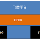 FPGA的DPDK驱动程序