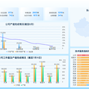 大屏可视化