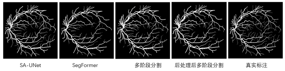 动态图片