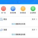金税三期-实名办税项目