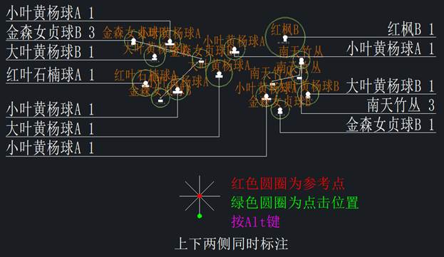 动态图片