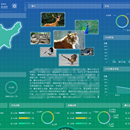 【政府单位】实时监测与应急管理系统