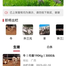 生猪采购系统