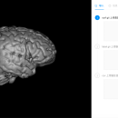 SurfaceViewer 脑区查看系统