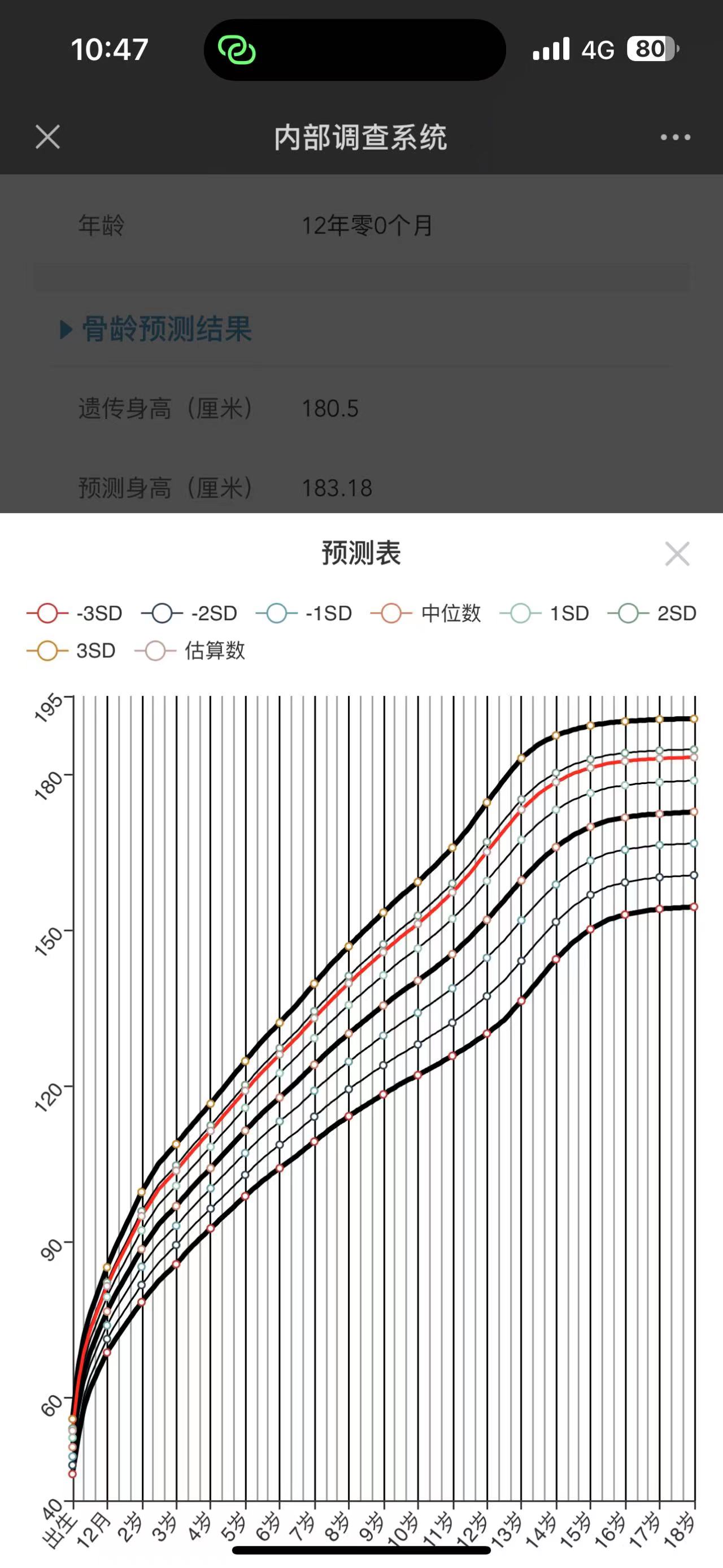 动态图片