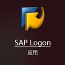 金帝集团·SAP ERP项目