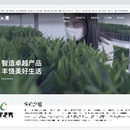 cms建站 seo搜索引擎优化网站 