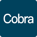 cobra 检索逻辑配置