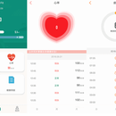 Holter 动态心电图软件